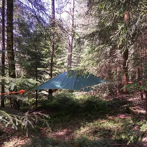 Oda ve Kahvaltı Baumzelt Im Wald
